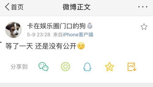 爆料吃瓜中心,爆料吃瓜中心独家爆料，明星幕后真相大曝光！