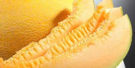 剑三吃哈密瓜,一场别开生面的美食之旅