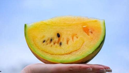 吃瓜得瓜,揭秘吃瓜得瓜的奇妙之旅