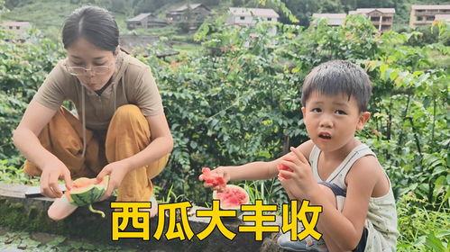 三嫂吃瓜,揭秘娱乐圈背后的惊人真相