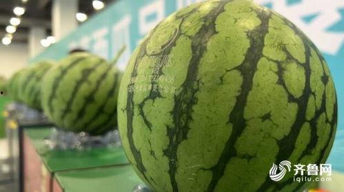 会展中心吃瓜,一场味蕾与视觉的盛宴