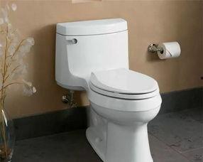 无敌凯马桶吃瓜,吃瓜群众的欢乐盛宴