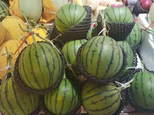 橘一凡吃瓜,揭秘娱乐圈背后的秘密