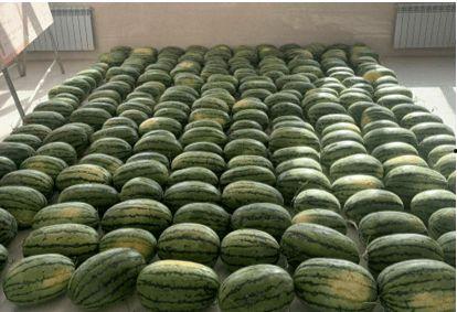 江西吃瓜新闻,揭秘当地热点事件背后的真相