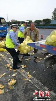 江西吃瓜新闻,揭秘当地热点事件背后的真相