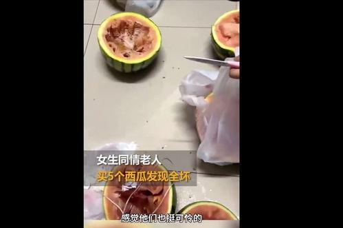 想把瓜吃全,揭秘如何将瓜吃全的绝妙技巧