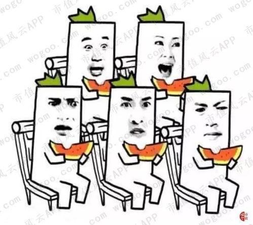 梦见偷摘别人的瓜吃,偷摘瓜果的奇幻之旅