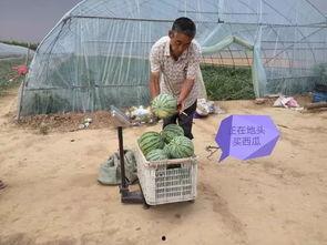 廖总吃瓜,揭秘娱乐圈幕后风云