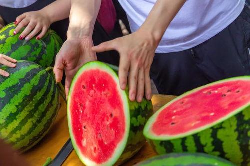 南京体育大学吃瓜,揭秘校园热点背后的真相