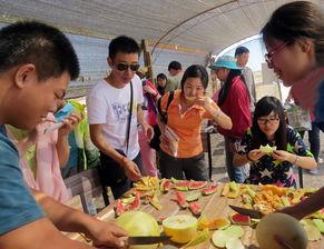 吃瓜协会 团队,揭秘娱乐圈幕后故事，带你领略娱乐风云