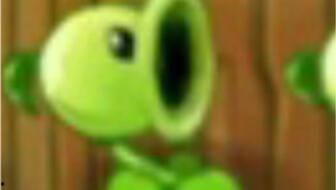 斯雷恩吃瓜生物,揭秘神秘生物的奇妙食性