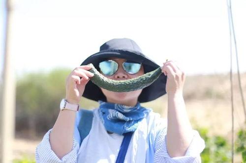 跟着朋友吃瓜,揭秘娱乐圈那些鲜为人知的瓜料