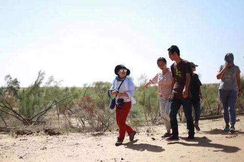 跟着朋友吃瓜,揭秘娱乐圈那些鲜为人知的瓜料