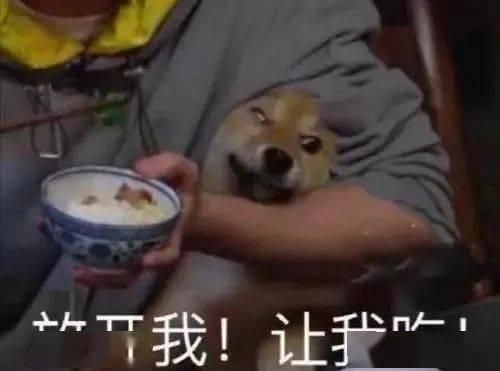 奶奶带你吃瓜呀,吃瓜趣事大集合