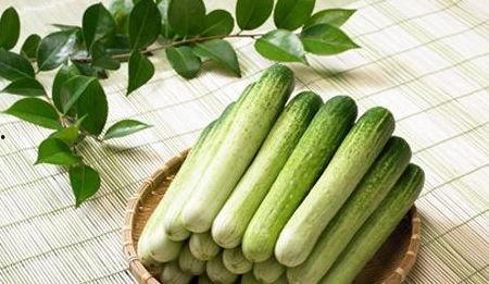 各种瓜吃瓜私,揭秘吃瓜私成的秘密世界