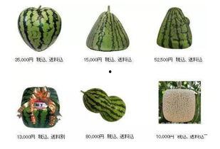 轻易吃瓜,揭秘娱乐圈那些事儿