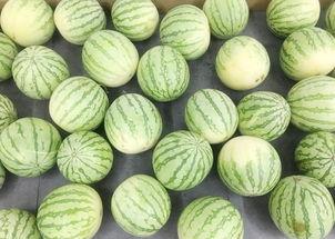 真实的地产吃瓜,一场惊心动魄的“吃瓜”大戏