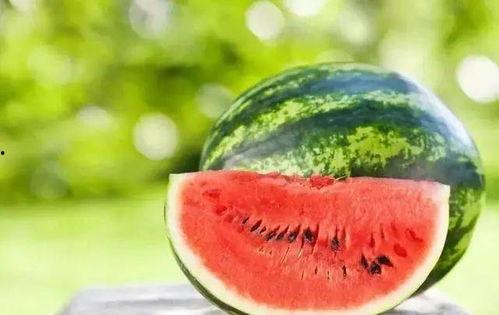 吃瓜君双人四排,欢乐竞技场上的瓜田奇遇记