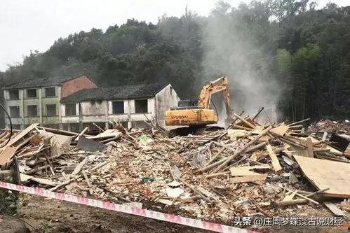 吃瓜爆料苍南,吃瓜爆料背后的真相与故事