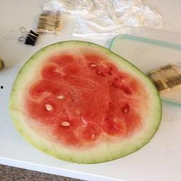 冻瓜咋吃,冻瓜的多样美味吃法探索