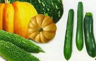 日瓜怎么吃,解锁夏日清新美味