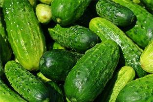 梦见沙洞里吃瓜,沙洞瓜香，探寻梦境中的神秘瓜果之旅