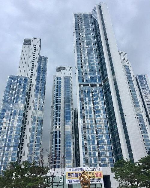 吃瓜的天堂小区,小区里的欢乐时光与邻里温情