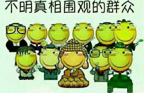 吃瓜群众小酷,揭秘娱乐圈那些事儿