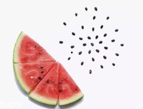 睡前可以吃瓜橘子,瓜果与橘子的甜蜜邂逅