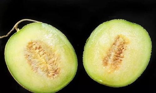 吃瓜群众 网红甜瓜,吃瓜群众的新宠