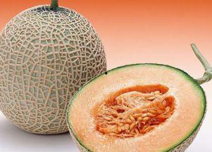 白兔吃哈密瓜,一场甜蜜的味蕾之旅