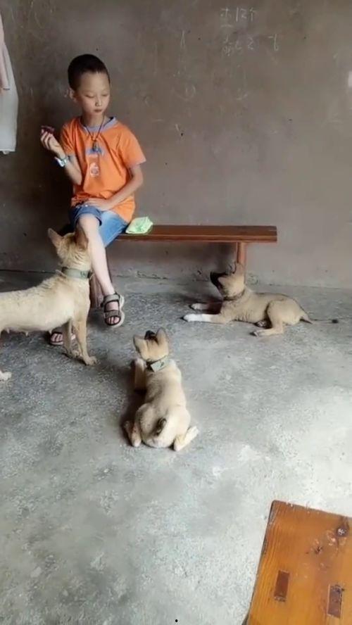 吃咸瓜的可怜视频,可怜吃瓜者的心酸遭遇