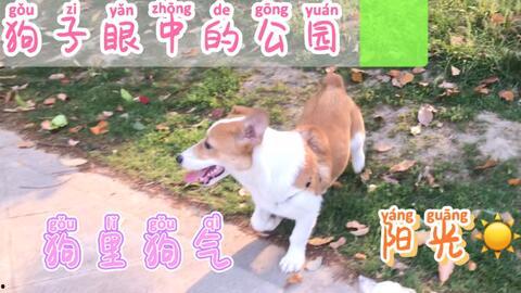 天天吃瓜啦,揭秘娱乐圈热点事件背后的真相